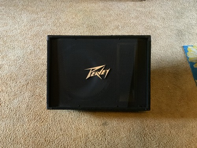 #ad Peavey PV 15M 2 Way Floor Monitor $190.00
