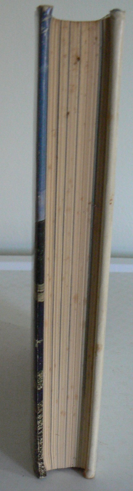 Bild 17 von 18