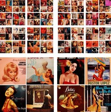 💖HARPER'S PREMIUM $5 VINTAGE VINYL CHEESECAKE "COVERS-ONLY" (LOT 4 OF 4)💖