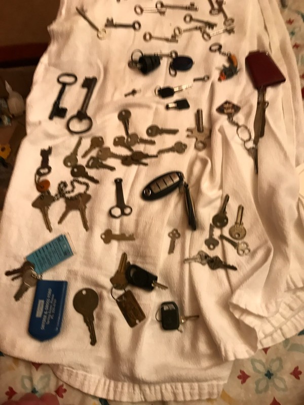 LOT OF 66 ASSORTED SKELETON KETS,TRACTOR KEYS AND OTHER KEYS PLUS KEY CHAINS