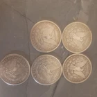 UNC Morgan $1 Lot Of 5, 90% Silver MV $300+USD