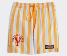 VINEYARD VINES NWT Boys' Chappy Swim Trunks, Sizes M, L  XL, Beach Stripe NWT