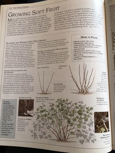 The New Gardener HC Extreme Amount of Gardening Knowledge for New & Experienced - Bild 12 von 12