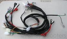 125cc Diablo Chopper Whole Wireharness for Peace Sports TPGS-303 408