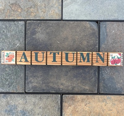 Seasons Wood Block Decor 12'' Floral Rustic Farmhouse Seasonal Autumn Spring