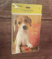 Expressions From Hallmark 8 Thank You Cards Puppy Blank Inside