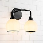 Black Bathroom Light Fixtures 2 Lights Vanity Lights with Milky White Frosted.C3