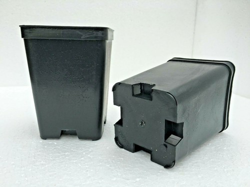 10x VASI PLASTICA QUADRATI cm 7x7x10 L 0,50 - PIANTE CARNIVORE ITALIA - 10 VASI - Imagen 3 de 5