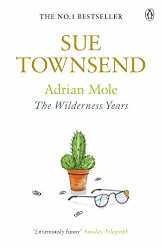 Adrian Mole: The Wilderness Years by Townsend, Sue Book The Fast Free  Shipping