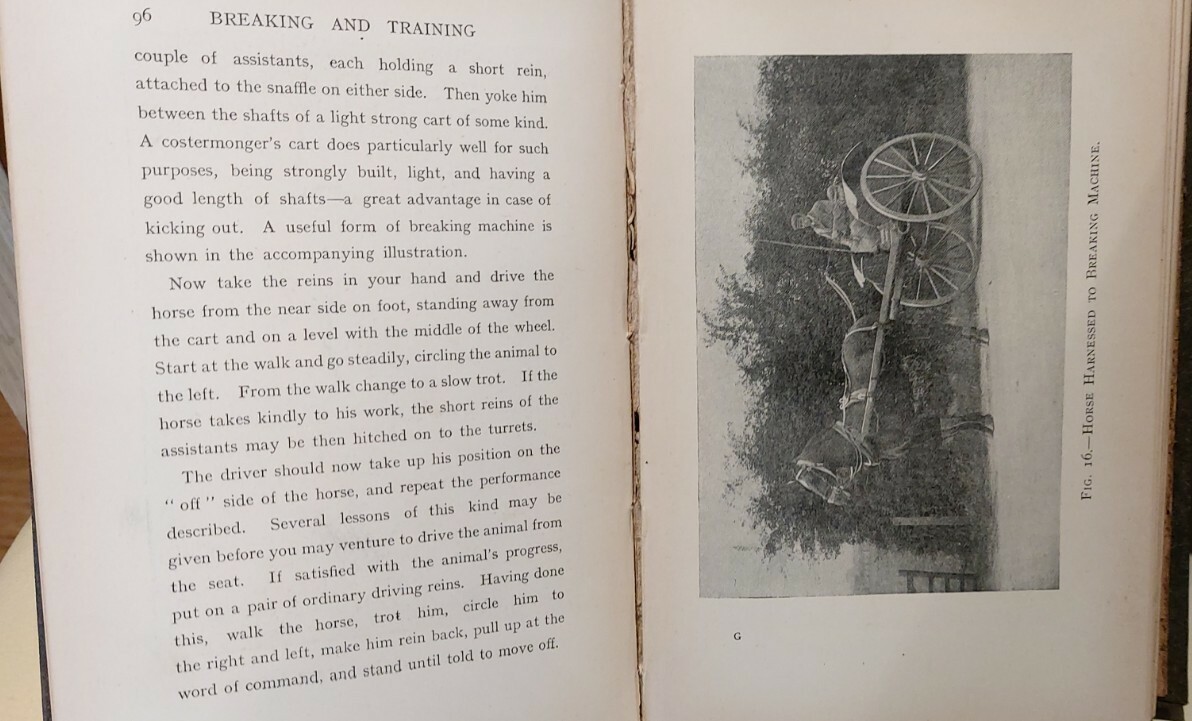 Breaking and Training Horses Frank Townend Barton R A Everett & Co 1st Ed 1904 Limitowana ilość, nowe wydanie