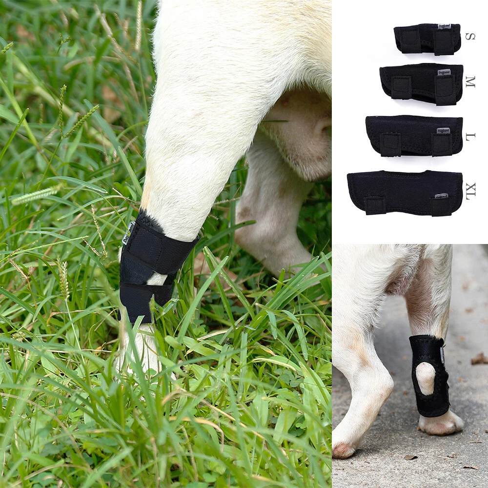 Dog wound bandage cheap