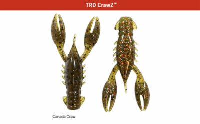 Z-Man TRD crawz 2.5 California Craw 6 Pack PLASTICA MORBIDA