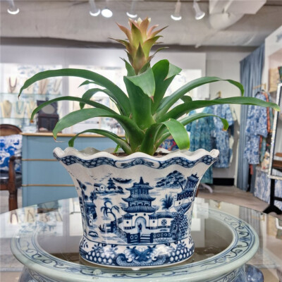 D.I.P pot 鉢 (A) Amazon.com : EPFamily Ceramic Plant Pot, 6 Inch Ceramic