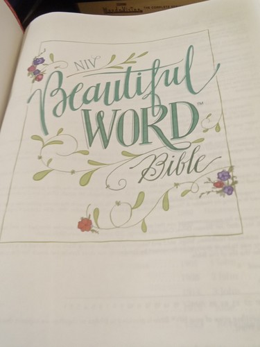 NIV, Beautiful Word Bible, Large Print, Leathersoft, Pink VG FREE SHIPPING - Picture 3 of 5