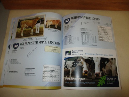 Catálogo de colores subasta Canadian Dairy XPO Expo 3/4 de abril de 2024 vaca ternero vaca novilla - Imagen 8 de 15
