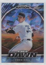 2025 Leaf Baseball Nation New Dawn Platinum Blue Prismatic 1/3 Owen Hall u4w