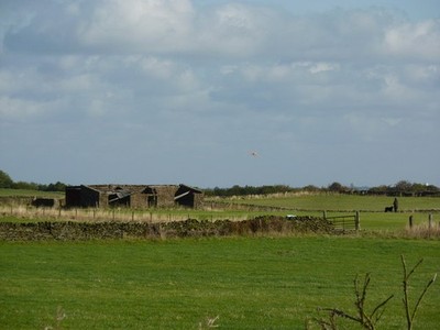 Foto A3 Bandit bei 9 Uhr Moorhall\/SK3074 Fido, ich glaube wir'd bet c2011