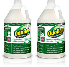 Professional Disinfectant and Odor Eliminator Concentrate, 2 Gallons, Original E