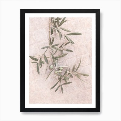Olive 1 Kunstdruck gerahmt Wandbild Poster Leinwanddruck Bild