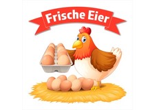Banner oder Aufkleber - FRISCHE EIER - Huhn, Eier, Eierhandel, Eierverkauf, Ei