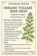 Oregano Vulgare Herb Seeds Non-GMO Fresh 2025 Heirloom