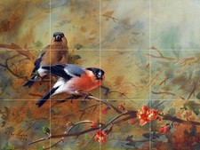 Bullfinches and Pyrus Japonica Tile Mural Kitchen Bathroom Backsplash Art 24x18
