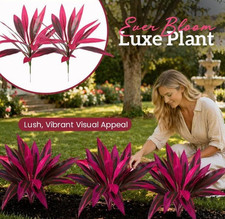 Large Realistic Artificial Boston Fern & Dragon's Blood Tree,Plants with