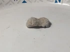 Dug Civil War era flattened Gardner bullet