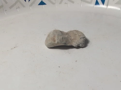 Dug Civil War era flattened Gardner bullet