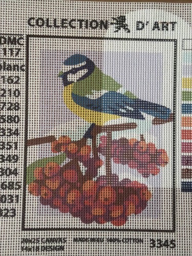 Collection D Art Printed needlepoint tapestry   20x25 Cm  Canvas Only