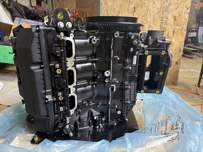 【くろ】③NITROPOWER WARHEAD 2023 Mercury 3.4L 200hp 4 Stroke Powerhead Pro XS Sea Pro | eBay