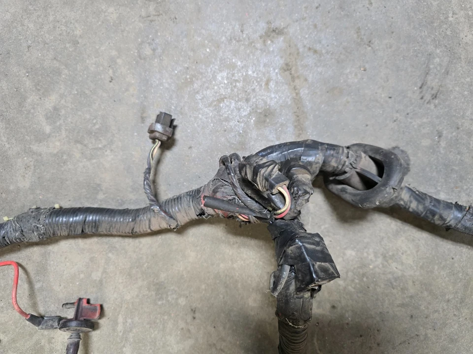 Arnés de cableado de computadora del motor Ford Mustang GT LX 1993 5,0 V8 OEM LEER Foto 3 de 4