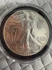 1987 1 oz Silver American Eagle (Brilliant Uncirculated)