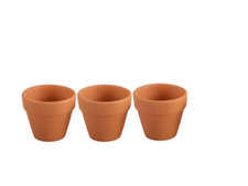Mini Terracotta Pots ( Pack of 3)