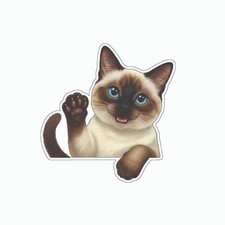 Siamese Cat Peeker Vinyl Decal Sticker Kitten Pet A