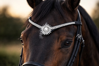 Crystal Sunburst Horse Browband Black Leather Rhinestone Bling