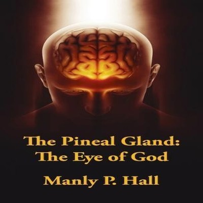 Pineal Gland Hardcover The Eye Of God Manly P Hall Hardcover Lush