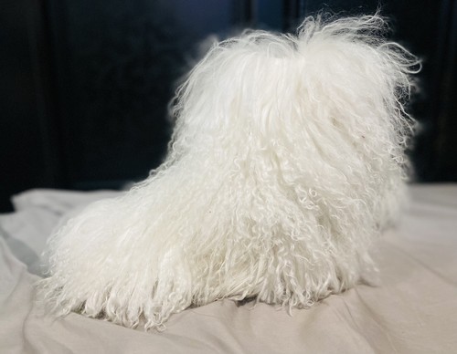 UGG Momma Fluff Ivory White Mongolian 
