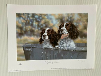 DOG ART Springer Spaniel Limited Edition Print 'Spick Span' by Paul ...