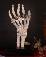 Skeletthand Als SchmuckstäNder FüR Ringe & Ketten