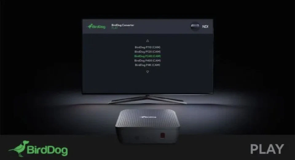 BirdDog Play - Image 3 of 4