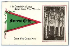 1914 Certainly Long Since You Were In Forest City Correspondence Iowa Postcard