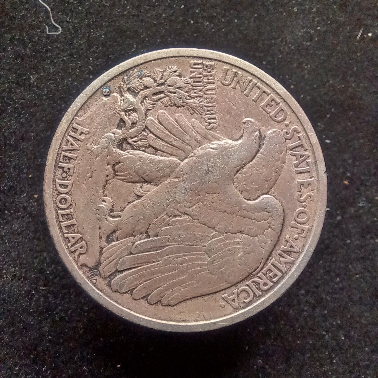 Picture 6 of 8
