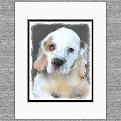 Clumber Spaniel Puppy Dog Original Art Print 8x10 Matted to 11x14