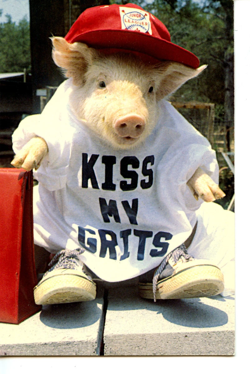 Kiss tennis deals shoes