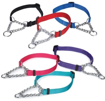 Guardian Gear Dog Martingale Chain Nylon Collar Adjustable Small Medium Large