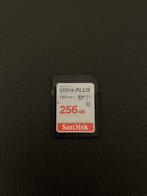SanDisk Ultra Plus 256GB UHS Speed Class 1, V10 SD Memory Card (0619659182663)