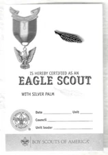 SCOUTS BSA EAGLE RANK AWARD SILVER PALM PIN NEW CURRENT WITH CARD