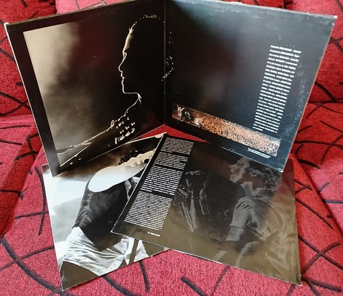 EROS RAMAZZOTTI ** Eros In Concert ** ORIGINAL 1991 SPAIN 2-LP w/ INSERTS - Picture 7 of 7