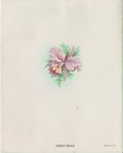 VINTAGE 1940'S EMBOSSED 50TH WEDDING ANNIVERSARY GREETING CARD UNUSED GLITTERED — photo 3